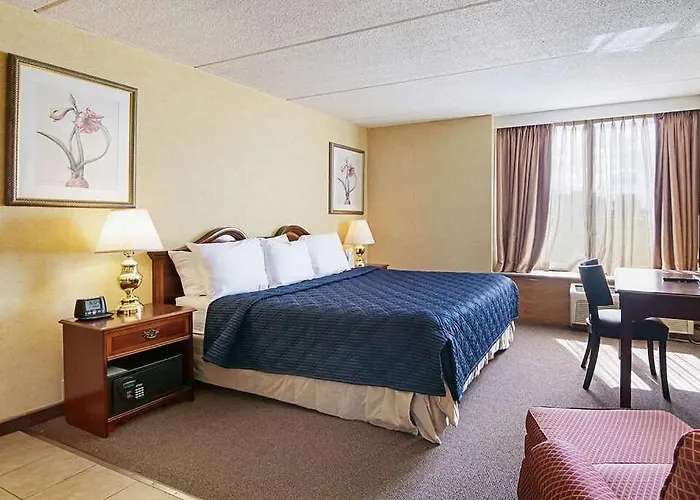 & Studio Hotel