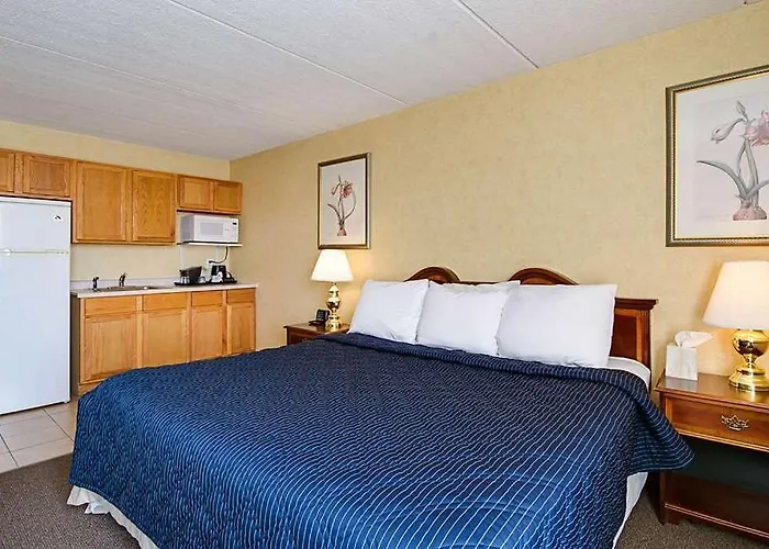 & Studio