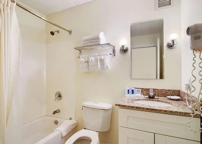 Hotel & Studio